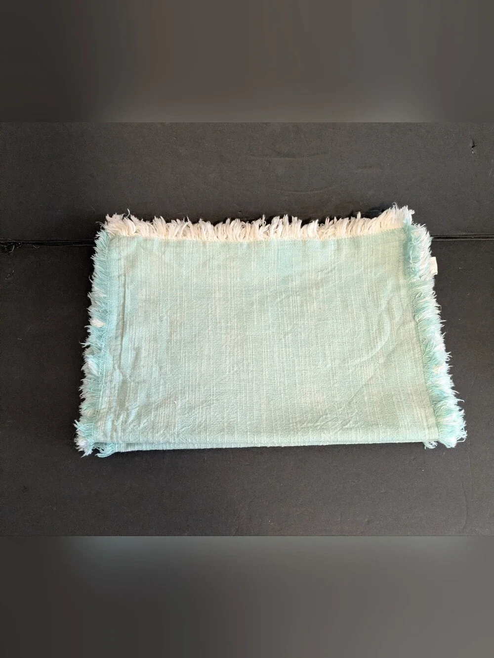 Pier 1 Imports Light Aqua Fringed Linen Cotton Placemats Bundle 3